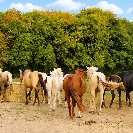 Bed & Breakfast Insolite - Roulotte Cowboy Et Bus Vintage